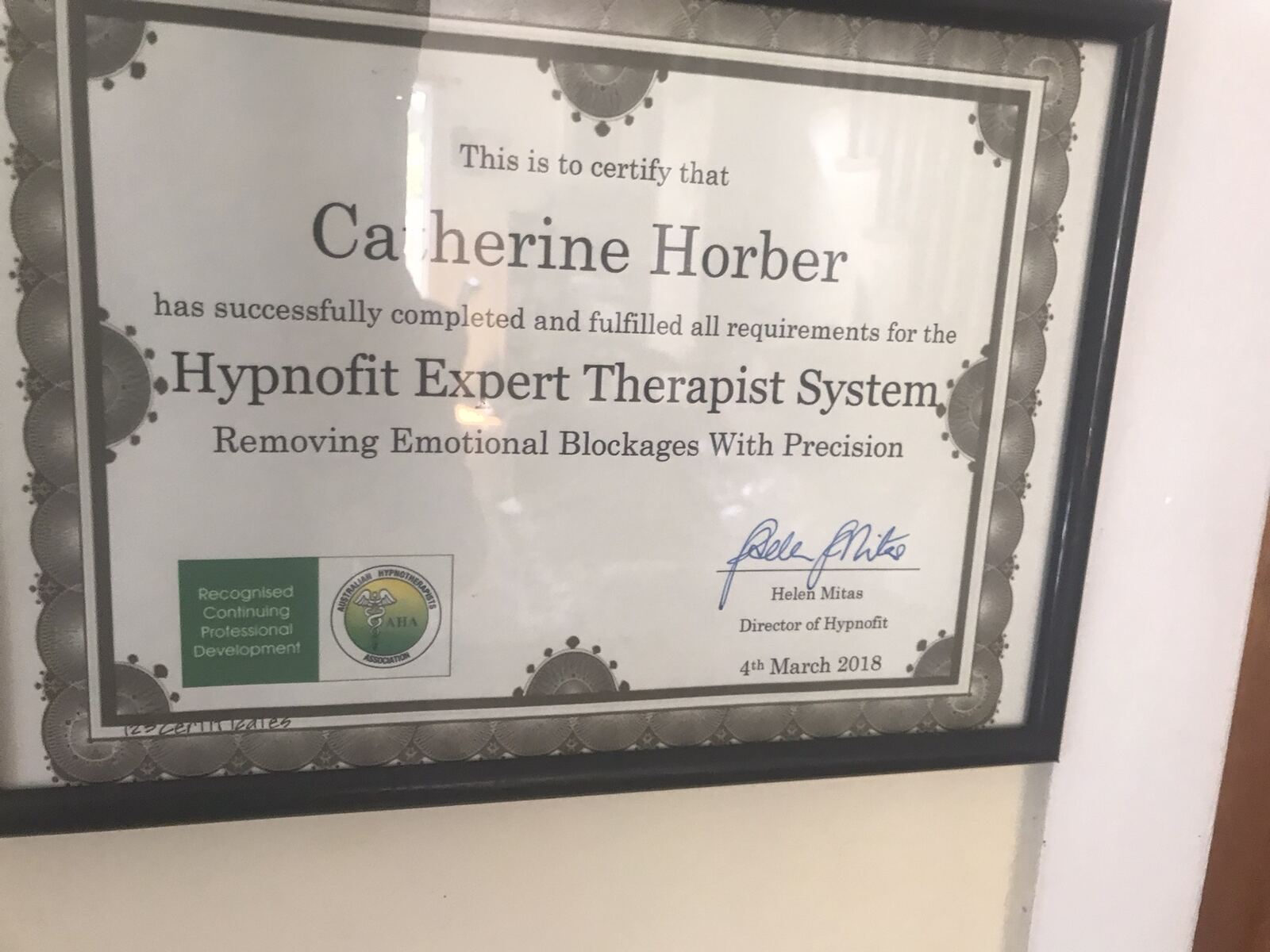 Hypnofit Expert Therapist System certificate